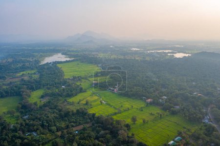 Téléchargez les photos : Vue aérienne du paysage près de Sigiriya, Sri Lanka. - en image libre de droit