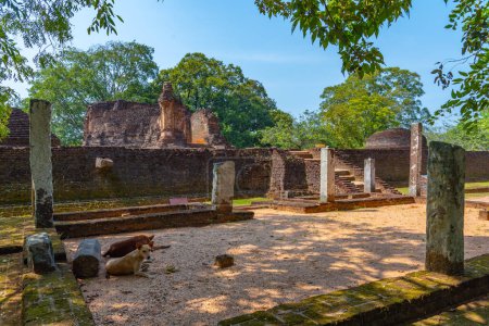 Téléchargez les photos : Pothgul viharaya à polonnaruwa, Sri Lanka. - en image libre de droit