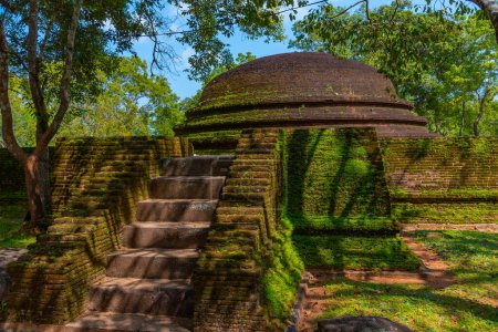 Téléchargez les photos : Stupa funéraire aux ruines de Polonnaruwa au Sri Lanka. - en image libre de droit