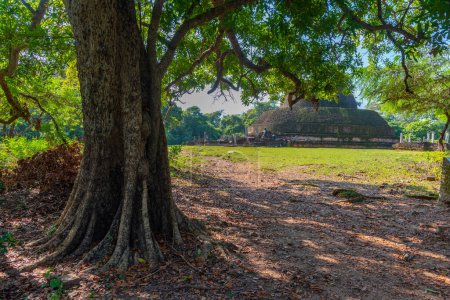 Photo for Pabalu Vihara at polonnaruwa in Sri Lanka. - Royalty Free Image