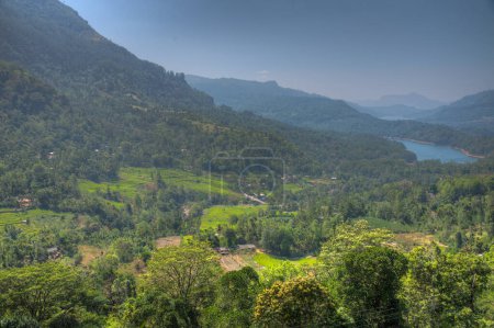 Photo for Aerial view of tea plantations near Ramboda falls at Sri Lanka. - Royalty Free Image