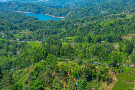 Photo for Aerial view of tea plantations near Ramboda falls at Sri Lanka. - Royalty Free Image