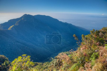 Téléchargez les photos : Point de vue du monde au parc national des plaines Horton au Sri Lanka. - en image libre de droit
