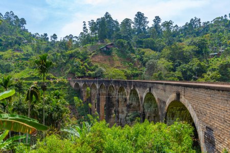 The Nine Arches Bridge near Ella, Sri Lanka.