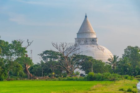 Photo for Tissamaharama Stupa at Sri Lanka. - Royalty Free Image