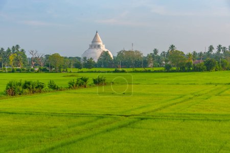 Téléchargez les photos : Stupa Tissamaharama au Sri Lanka. - en image libre de droit