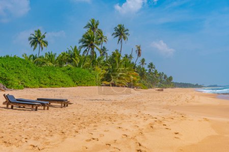Téléchargez les photos : Journée ensoleillée à la plage de Medaketyia au Sri Lanka. - en image libre de droit