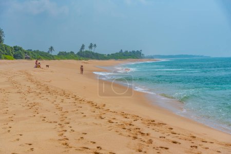 Foto de Día soleado en la playa de Marakolliya en Sri Lanka. - Imagen libre de derechos
