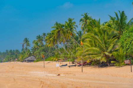 Photo for Sunbeds at Marakolliya beach, Sri Lanka. - Royalty Free Image