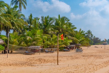 Téléchargez les photos : Terrain de beach volley sur la plage de Marakolliya, Sri Lanka. - en image libre de droit
