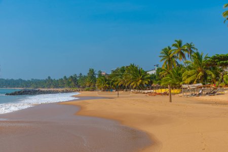 Téléchargez les photos : Transats à la plage de Marakolliya, Sri Lanka. - en image libre de droit