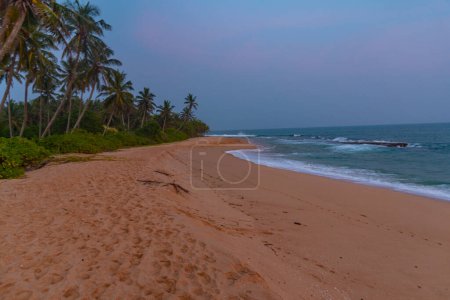 Photo for Sunset view of Marakolliya beach at Sri Lanka. - Royalty Free Image