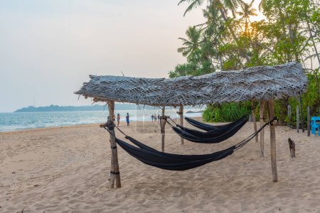 Téléchargez les photos : Hamacs à la plage de Marakolliya, Sri Lanka. - en image libre de droit