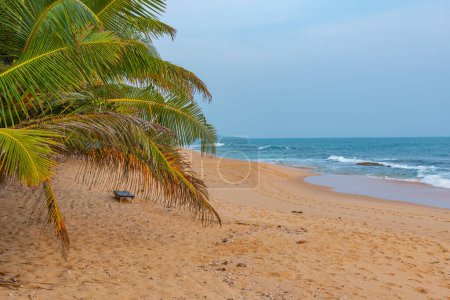 Téléchargez les photos : Coucher de soleil sur la plage de Marakolliya au Sri Lanka. - en image libre de droit