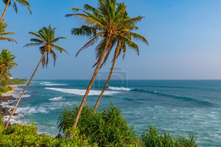 Photo for Coconut hill with view at the indian ocean at Mirissa, Sri Lanka. - Royalty Free Image