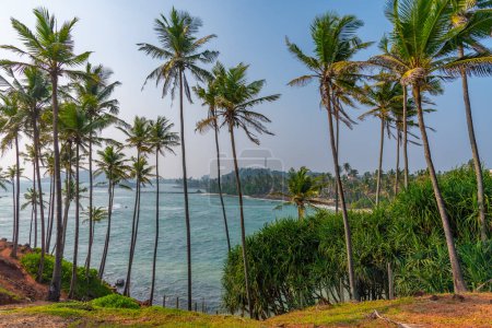 Photo for Coconut hill with view at the indian ocean at Mirissa, Sri Lanka. - Royalty Free Image