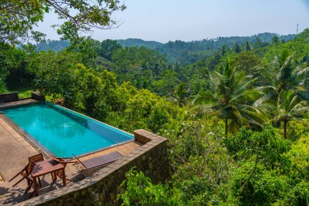 Photo for Pool overlooking cinnamon fields at Mirissa Hills, Sri Lanka. - Royalty Free Image