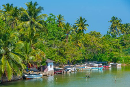 Bateaux de pêche amarrés à la lagune de Koggala, Sri Lanka.