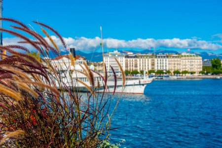Téléchargez les photos : Promenade au bord du lac de la ville suisse Genève vue derrière un pot de fleurs, Suisse. - en image libre de droit