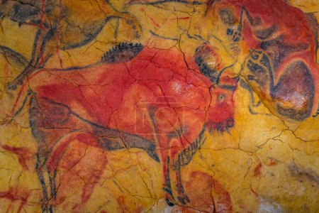 Téléchargez les photos : Santillana del Mar, Espagne, 12 juin 2022 : Peintures rupestres à la réplique de la grotte d'Altamira à Santillana del Mar en Espagne. - en image libre de droit