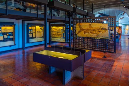 Photo for Eichstatt, Germany, August 14, 2022: Fossils at Jura museum in German town Eichstatt. - Royalty Free Image