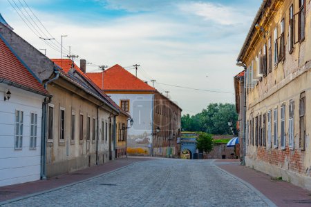 Rue piétonne dans la vieille ville d'Osijek, Croatie