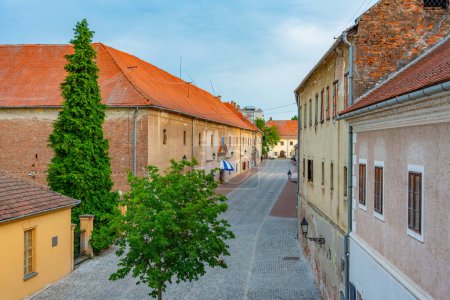 Rue piétonne dans la vieille ville d'Osijek, Croatie
