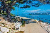 Seaside promenade at Croatian town Cavtat magic mug #712833638