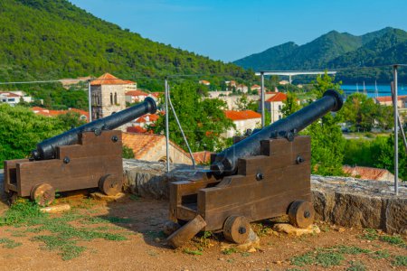 Canons à la forteresse de Ston en Croatie