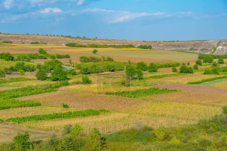 Moldovan countryside during a sunny day