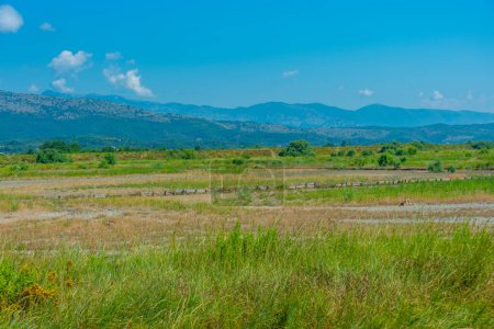Foto de Día de verano en Ulcinj salines en montenegro - Imagen libre de derechos