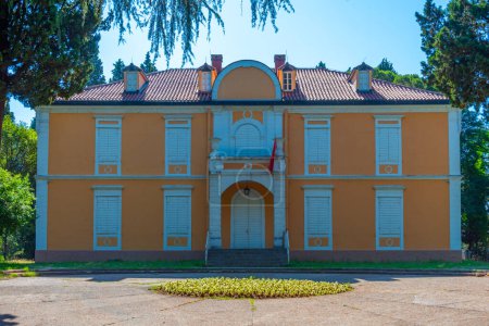 Château Petrovic à Podgorica au Monténégro