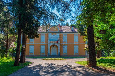 Château Petrovic à Podgorica au Monténégro