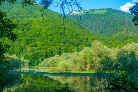 Nationalpark Biogradska Gora in Montenegro