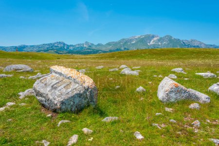 Stecci - a historical graveyard at Durmitor national park in Montenegro