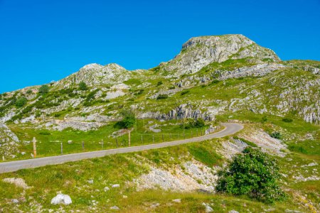 Gipfel des Durmitor-Nationalparks hinter einer Wiese, Montenegro