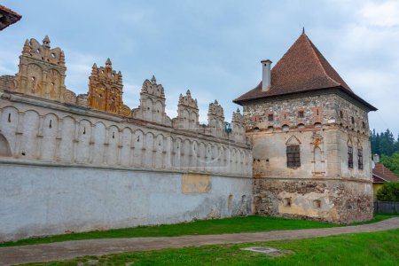 Téléchargez les photos : Vue du château Lazar à Lazarea, Roumanie - en image libre de droit