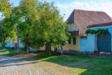 Typical saxon houses in Romanian village Viscri