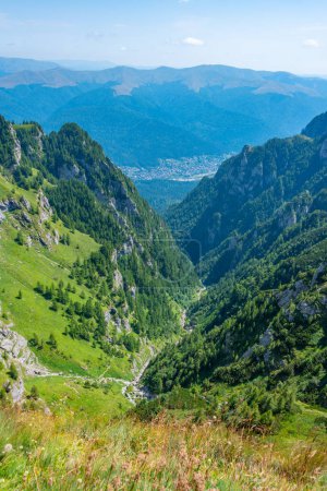 Summer day at Caraiman valley leading to Bucegi mountains near Busteni village in Romania