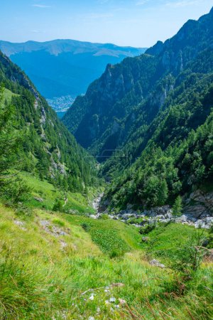 Sommertag im Caraiman-Tal, das zum Bucegi-Gebirge in der Nähe des Dorfes Busteni in Rumänien führt