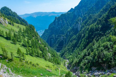 Summer day at Caraiman valley leading to Bucegi mountains near Busteni village in Romania