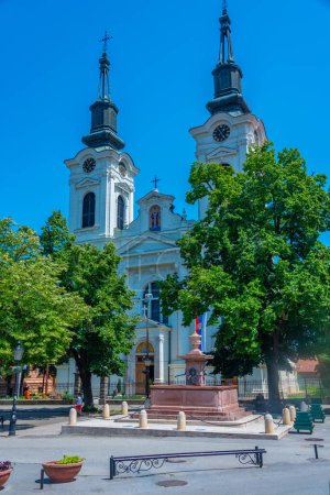 Foto de Fuente de cuatro leones y Catedral de San Nicolás en Sremski Karlovci en Serbia - Imagen libre de derechos