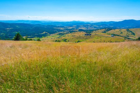 Zlatibor countryside in Serbia during a summer day