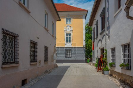 Straße im historischen Zentrum von Radovljica, Slowenien