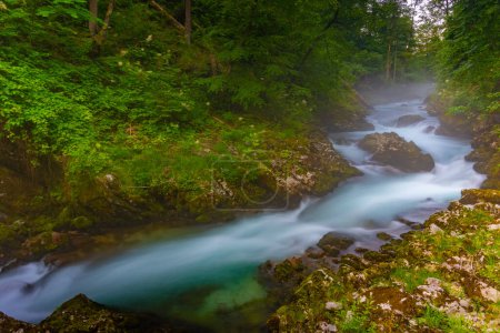Garganta de Vintgar durante una mañana de verano en Eslovenia