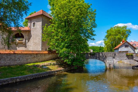Old stone bridge at Slovenian town Ribnica