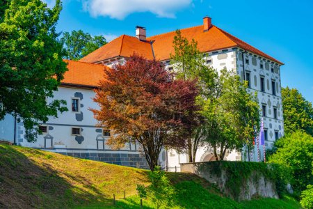 Blick auf die Burg Dvorec Strmol Rogatec in Slowenien