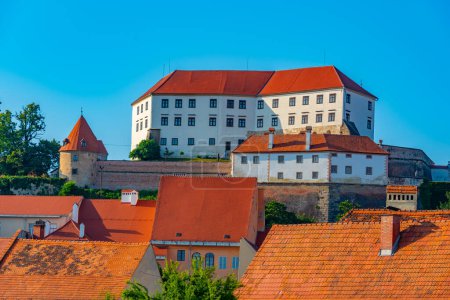 Burg Ptuj mit Blick auf die gleichnamige Stadt in Slowenien