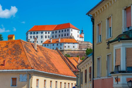 Château de Ptuj surplombant la ville du même nom en Slovénie