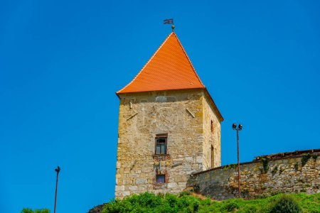 View of Ptuj castle in Slovenia